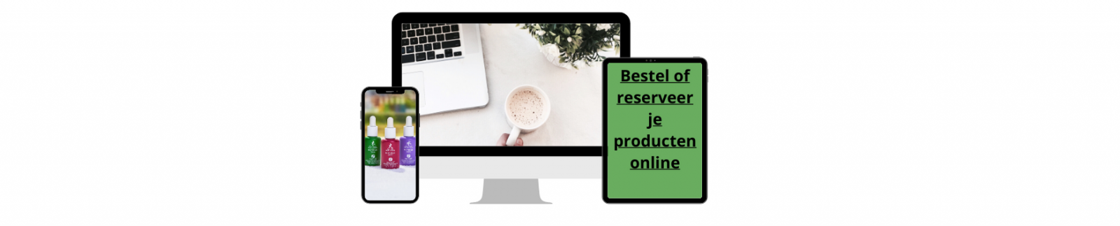https://huisanahata.posworld.be/#/listws